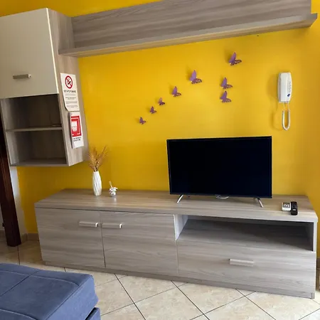 Butterflyhouse2 蒙塞拉托